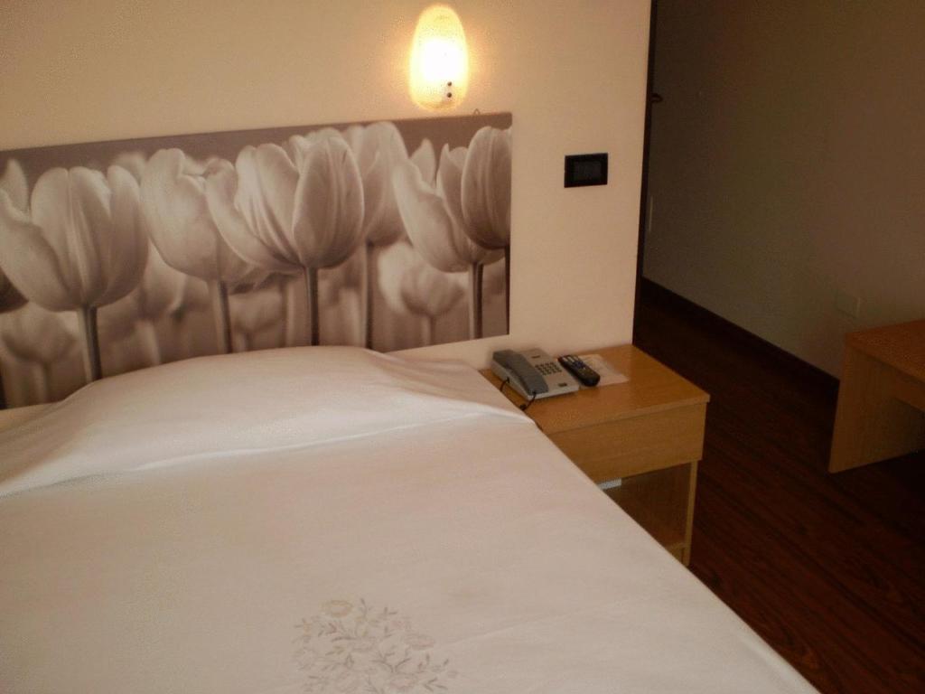 Albergo Grappolo D'oro Montebelluna Esterno foto